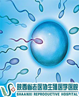 \(yn)(dng)^ȕ(hu)ʹҺ|(zh)½Ć᣿