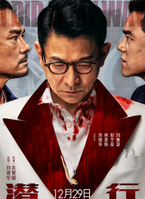 顺英的抉择电视剧免费观看