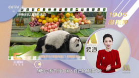 春天